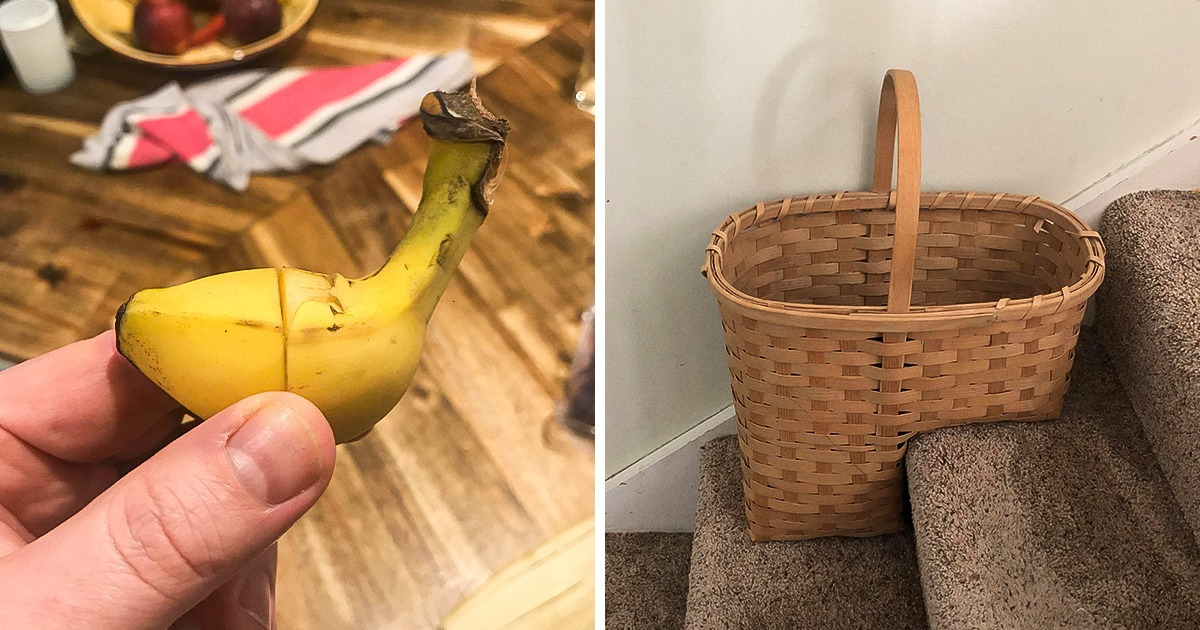 22 Objets qui vont parfaitement ensemble