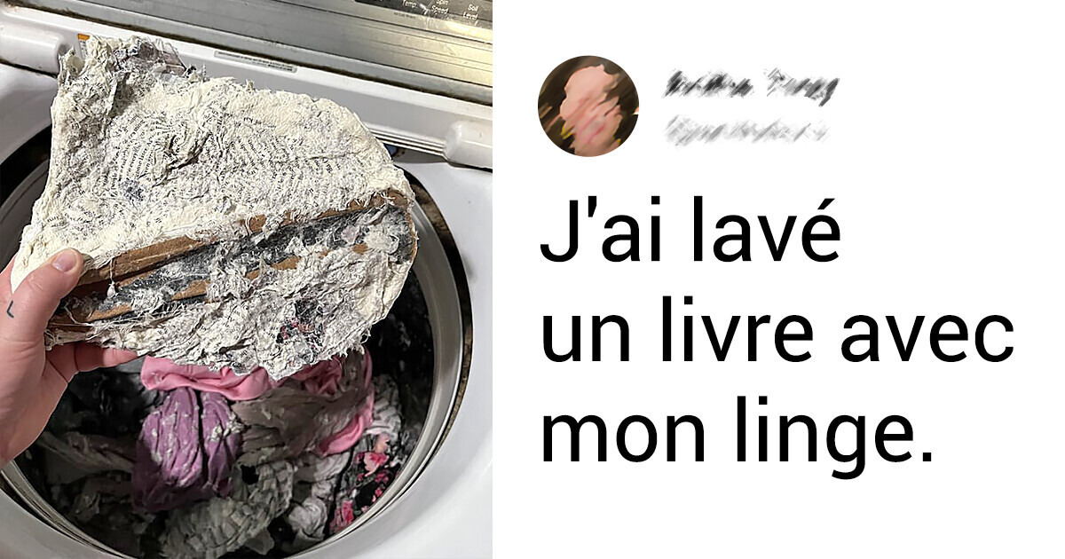 20 Anecdotes où le trèfle à quatre feuilles a échappé aux gens