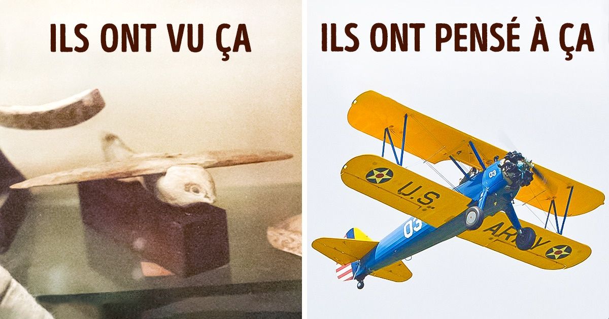 10 Découvertes antiques qui ont vraiment fait douter les scientifiques sur ce qu’ils avaient devant les yeux 10 Découvertes antiques qui ont vraiment fait douter les scientifiques sur ce qu’ils avaient devant les yeux