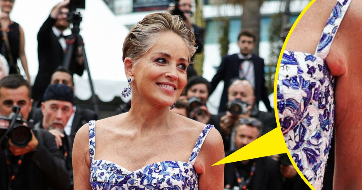 10 Astuces de style qui permettent à Sharon Stone, âgée de 64 ans, d’éclipser facilement les beautés plus jeunes