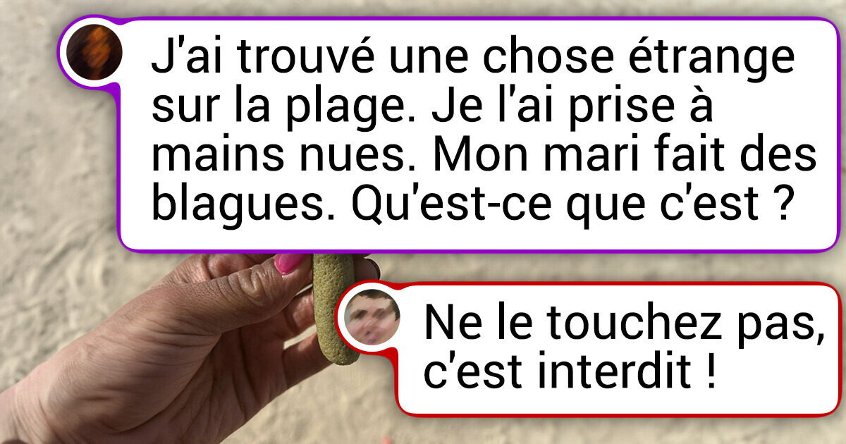 19 Objets mystérieux dont on ne sait pas s’ils sont des déchets ou des trésors