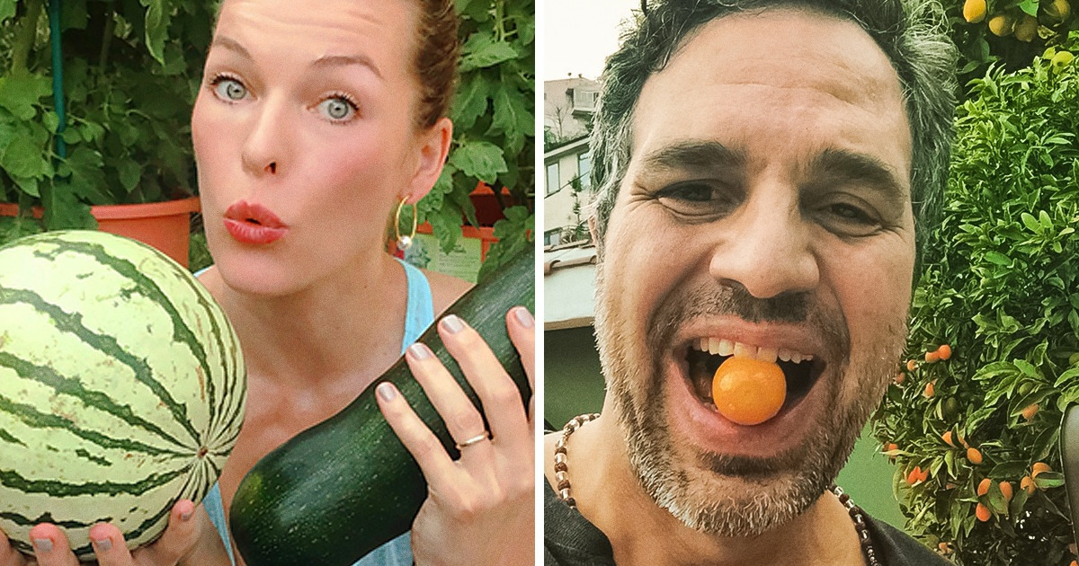 15 Stars qui ont commencé à cultiver leurs propres fruits et légumes