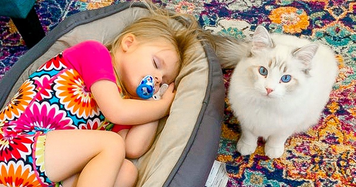 18 Animaux dont le propriétaire est vraiment insupportable 18 Animaux dont le propriétaire est vraiment insupportable