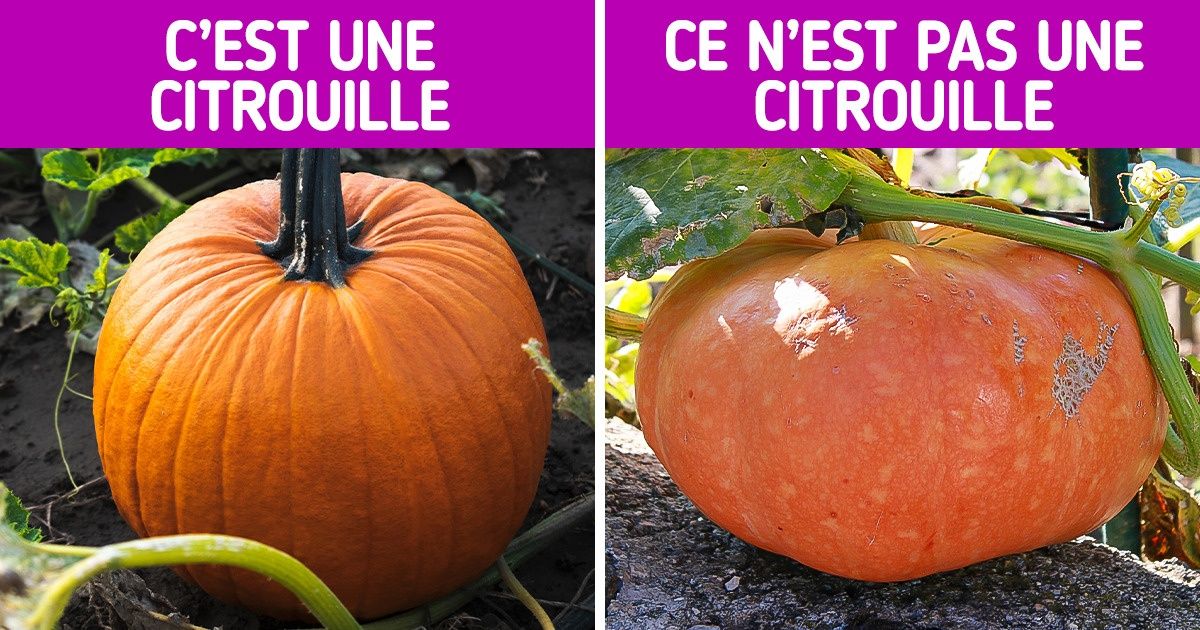 10+ Paires d’aliments très semblables que la plupart des gens confondent