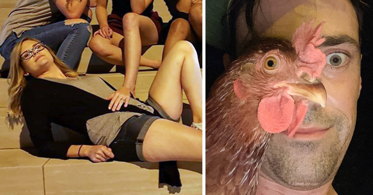 15 Photos qui ressemblent à de vrais puzzles pour notre cerveau