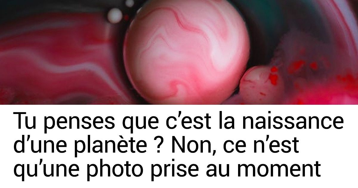 20+ Photos qui prouvent que les objets ordinaires cachent tout un Univers