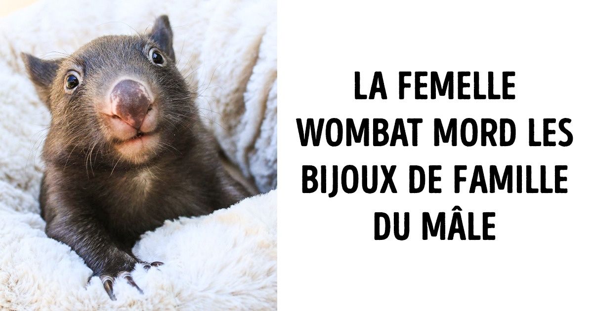 23 Faits déconcertants sur les animaux qui vous laisseront bouche-bée