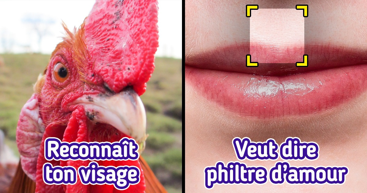 Une fille a écrit : “Donne une anecdote au hasard” et voici 13 réponses étonnantes