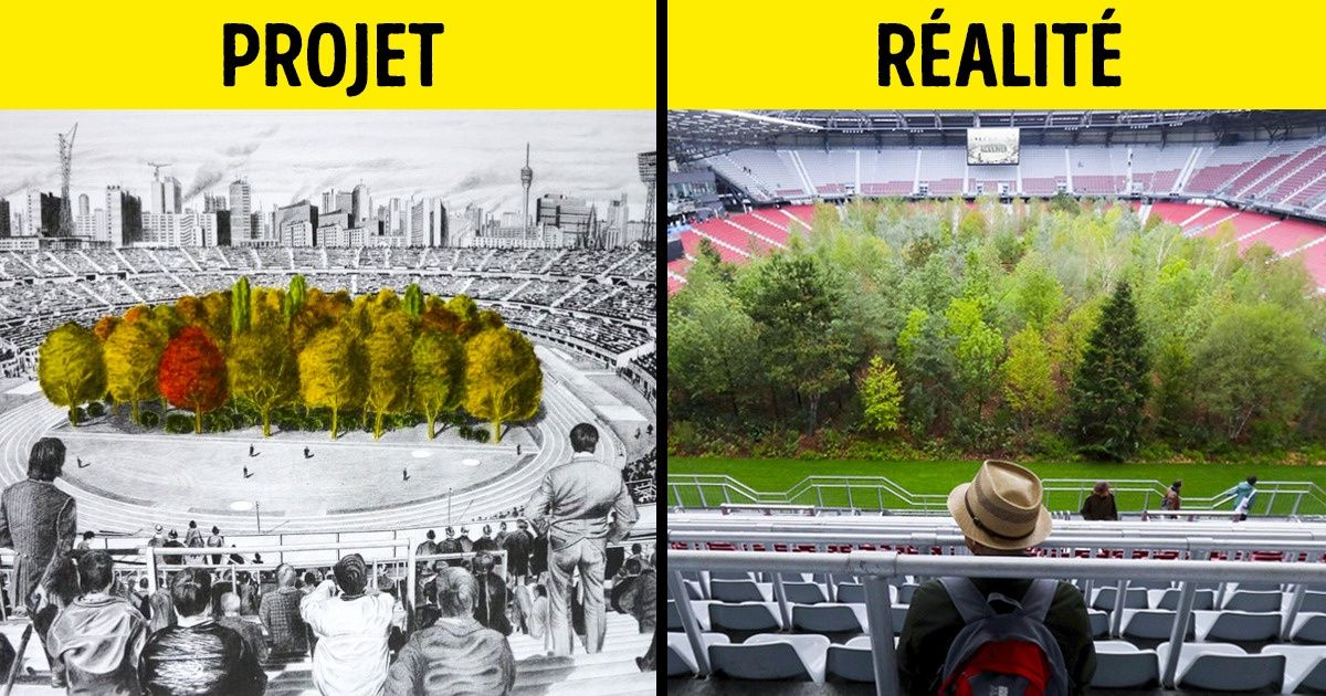 Un dessin vieux de 50 ans a été reproduit grandeur nature, et une forêt a été plantée dans un stade pour alerter les gens sur la destruction de l’environnement Un dessin vieux de 50 ans a été reproduit grandeur nature, et une forêt a été plantée dans un stade pour alerter les gens sur la destruction de l’environnement