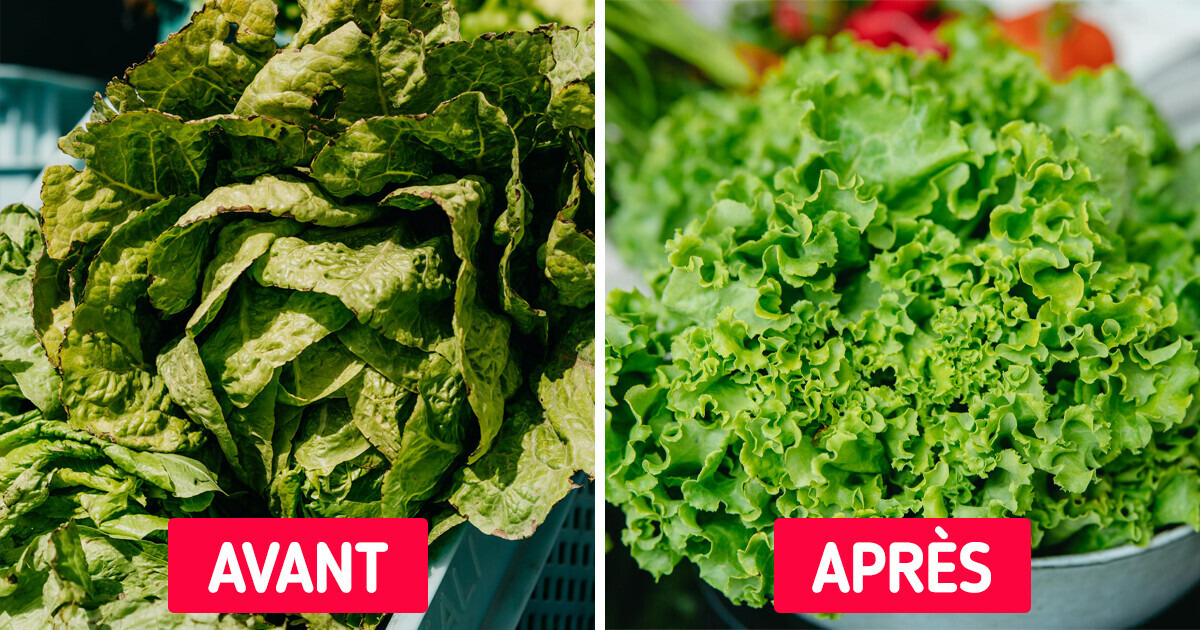 8 Conseils en cuisine pour éviter les ratages culinaires