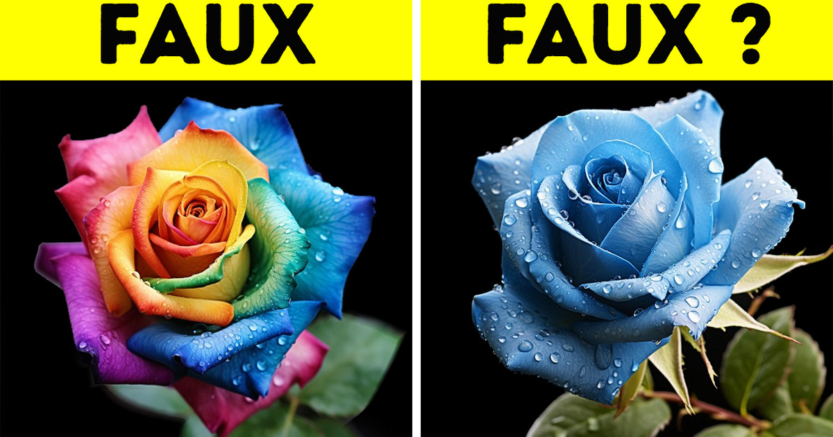 Comment les fleurs de couleurs étranges sont-elles créées ?