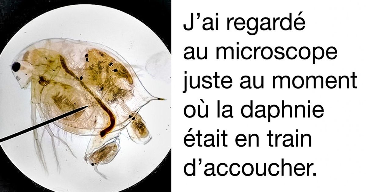 Découvre 25 personnes qui n’ont pas su garder pour eux certaines surprises offertes par la vie