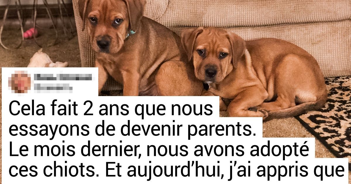 17 Photos émouvantes qui font battre le cœur plus fort