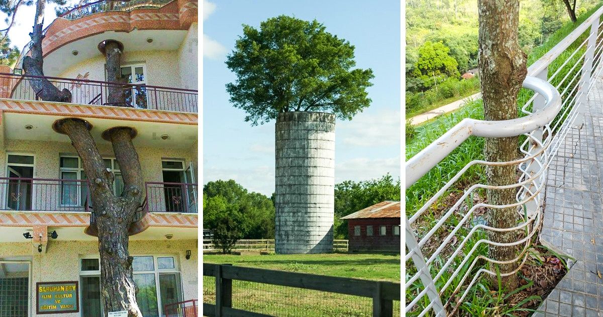 25 Photos incroyables sur le respect de la nature qui peuvent nous rendre fiers de l’humanité