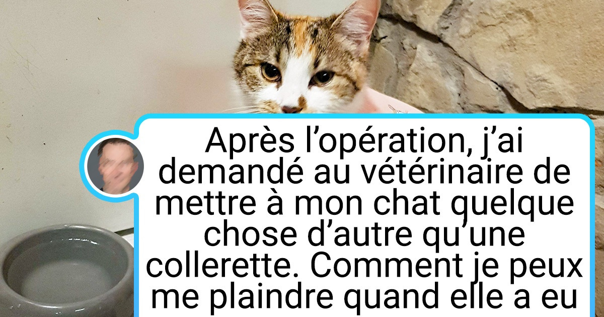 19 Preuves Photographiques Qu On Ne S Ennuie Jamais Quand On Est Veterinaire
