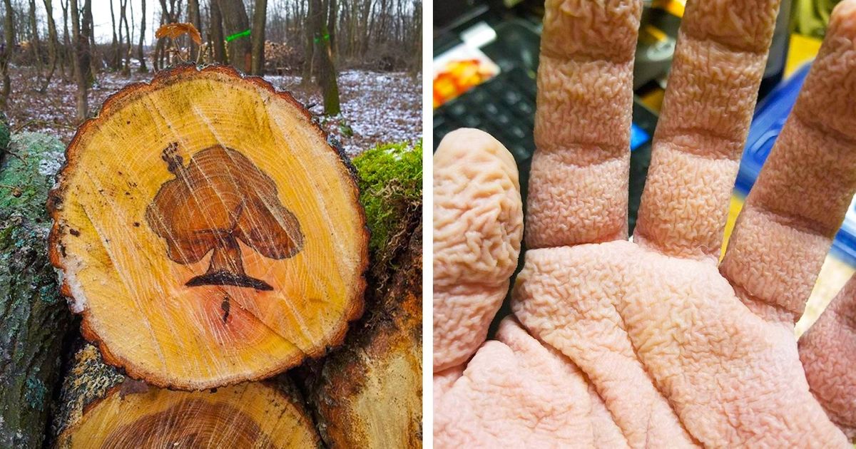 Attention, beauté : quand la réalité et l’art se rencontrent dans de magnifiques images