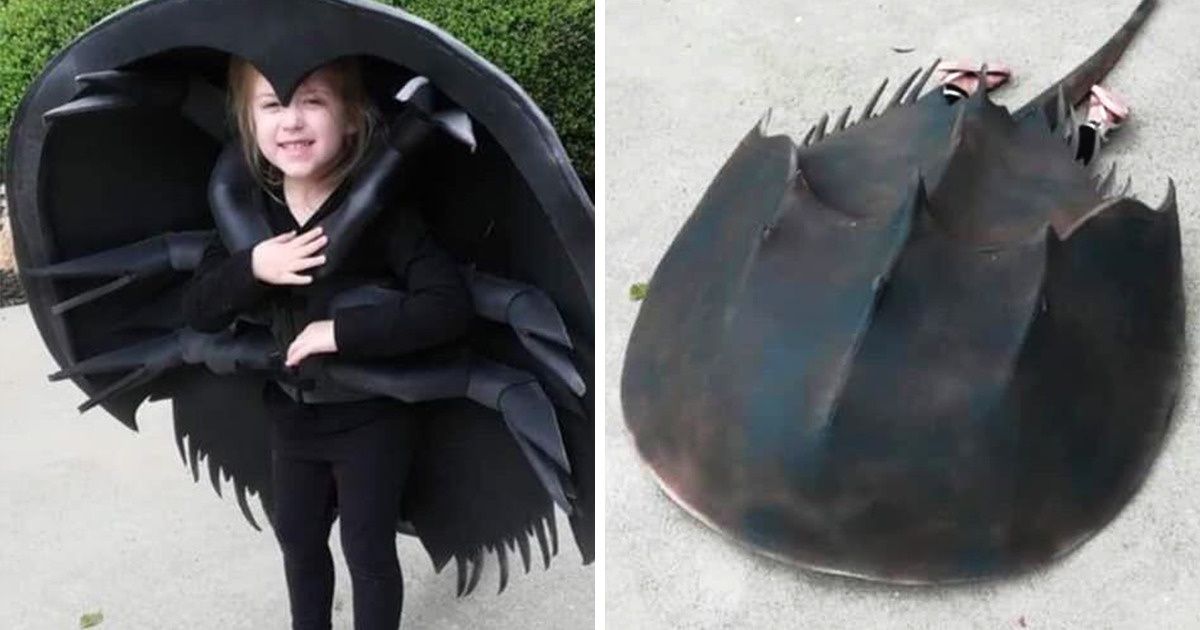 18 Experts d’Halloween qui ont volé la vedette cette année