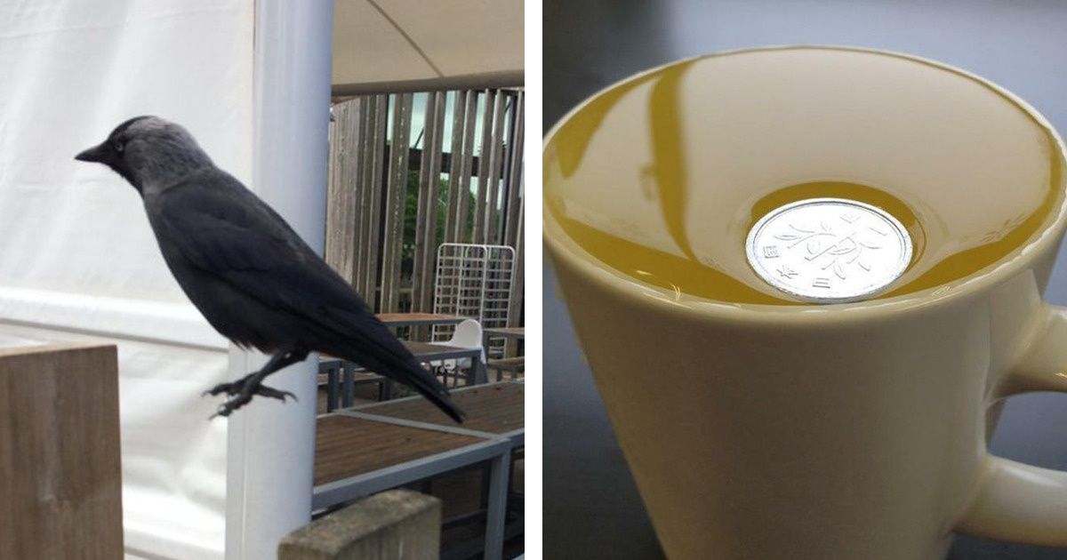20 Photos qui peuvent te faire douter des lois de la physique