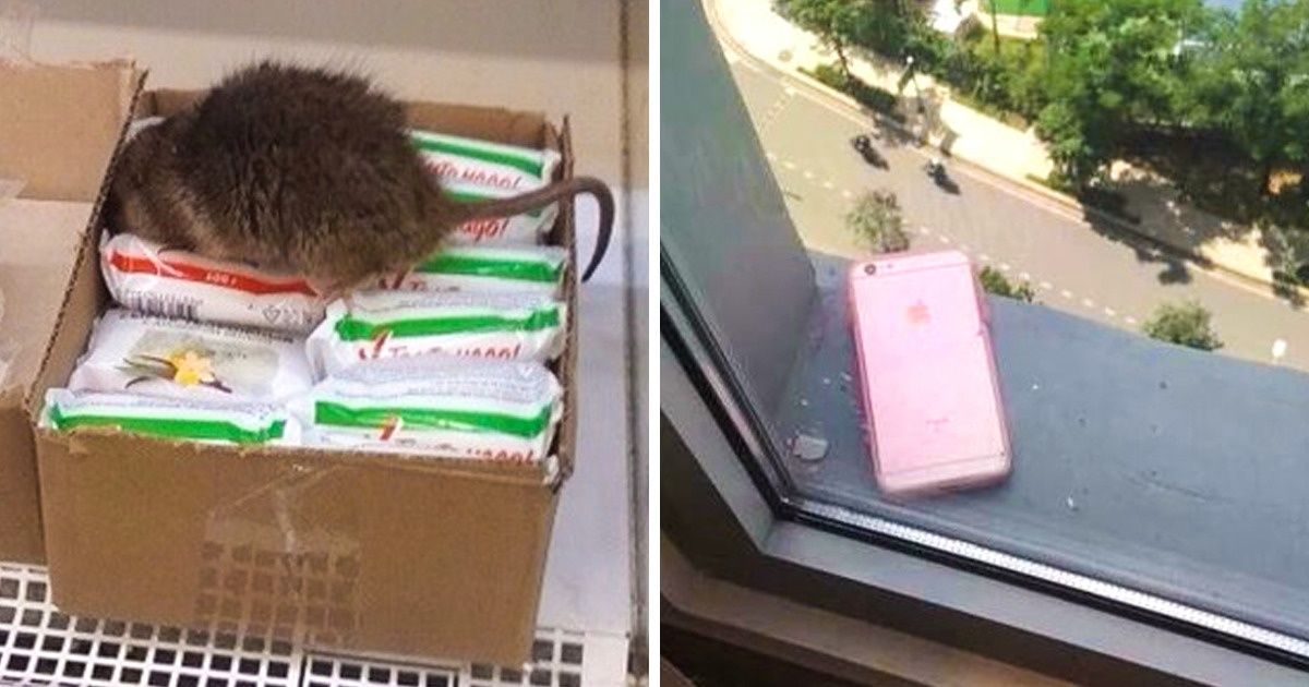 25+ Photos qui prouvent que le destin est plus inespéré que de nombreuses télénovelas