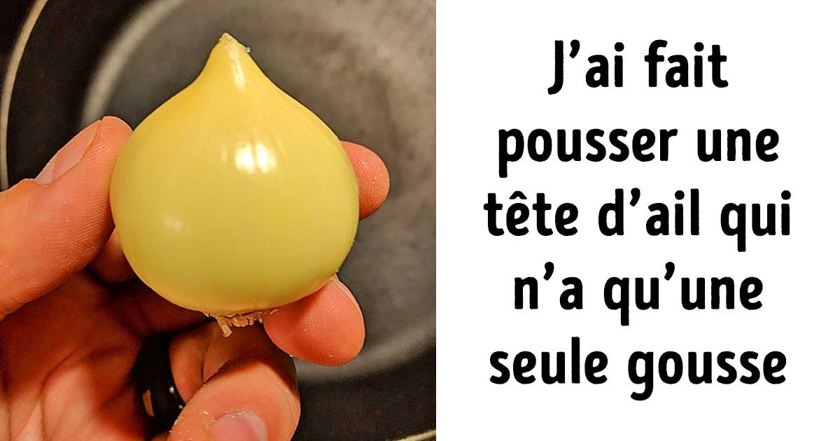 17 Personnes qui ont découvert une surprise de la nature et qui ont décidé d’immortaliser ce moment