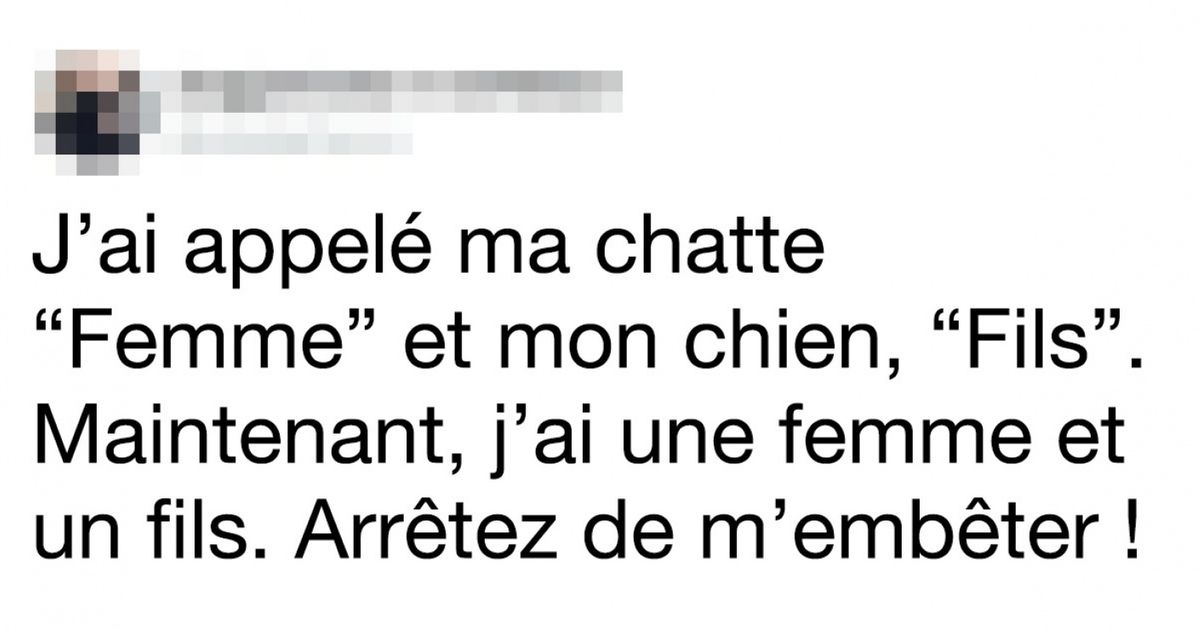 Découvre 13 tweets de personnes avec un sens de l’humour incroyable ! Découvre 13 tweets de personnes avec un sens de l’humour incroyable !
