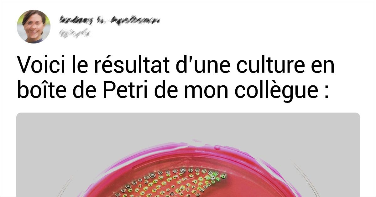 20+ Photos sur lesquelles tout est si parfait qu’on a du mal à y croire