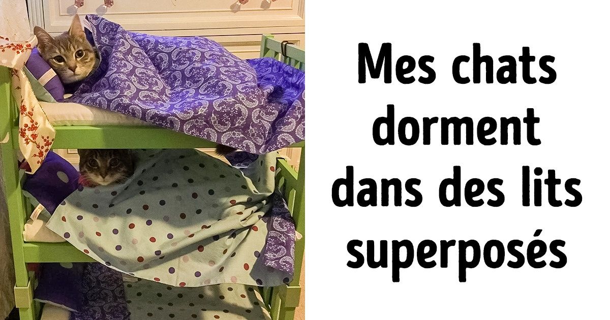 20 Propriétaires qui voulaient adopter un animal de compagnie mais qui ont fini par accueillir un adorable membre de la famille