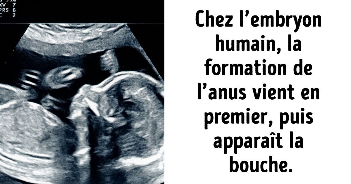 22 Faits peu agréables qui vont bouleverser tes idées