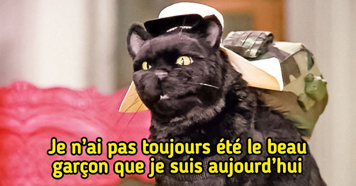 15 Preuves Que Salem Est Le Chat Le Plus Charismatique De La Television