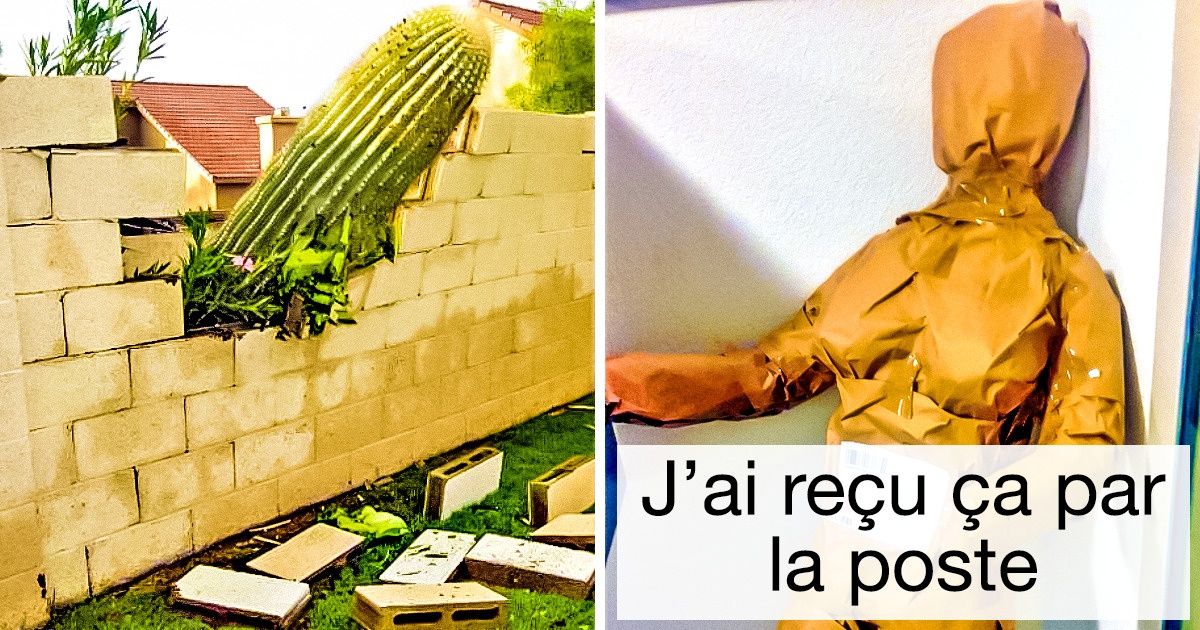 Nous avons du mal à comprendre ces 21 images absurdes