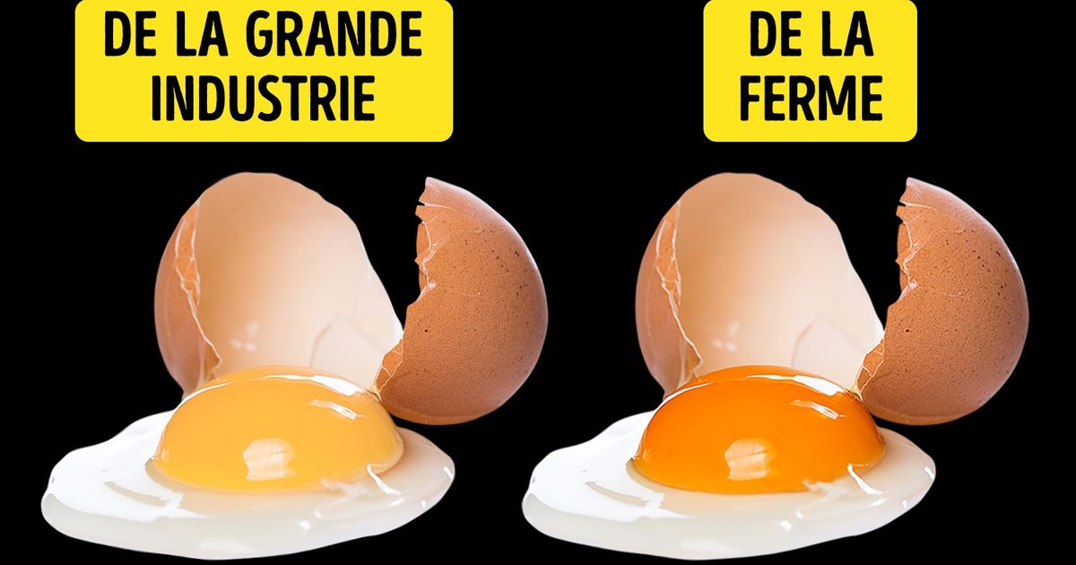 11 Astuces pour vérifier que tout ce que tu manges soit vraiment de la bonne qualité