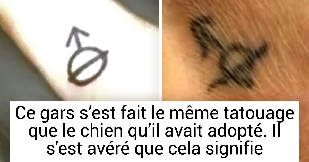 16 Tatouages que tu ne voudrais surtout pas reproduire 16 Tatouages que tu ne voudrais surtout pas reproduire