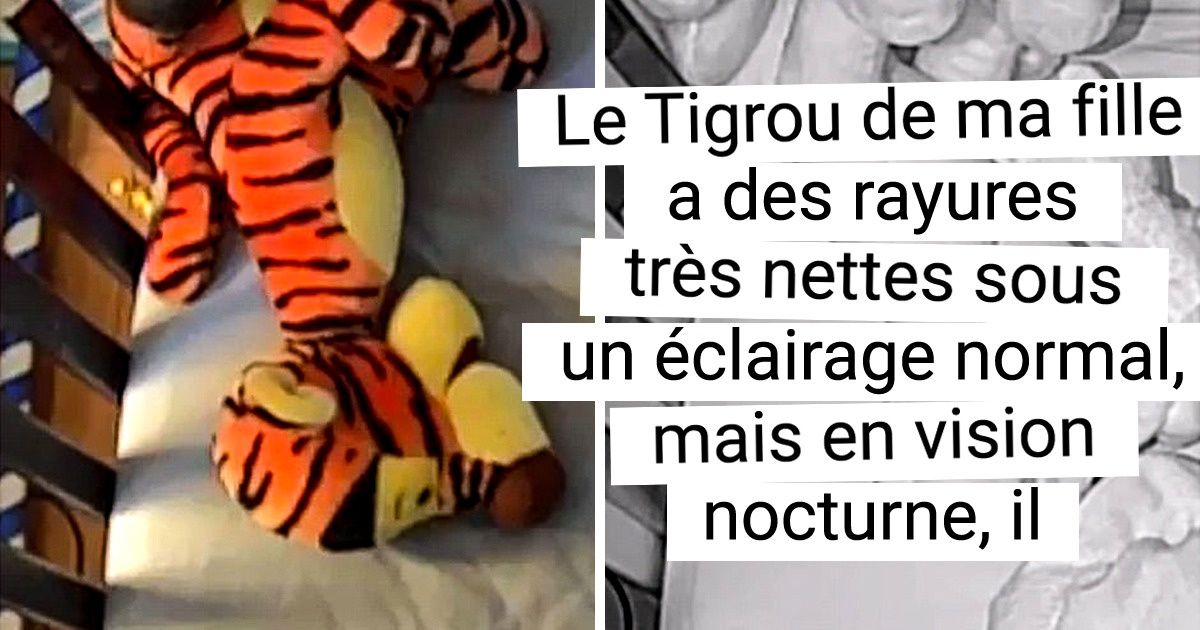 15 Internautes qui ont été très perturbés par ce qu’ils ont vu 15 Internautes qui ont été très perturbés par ce qu’ils ont vu