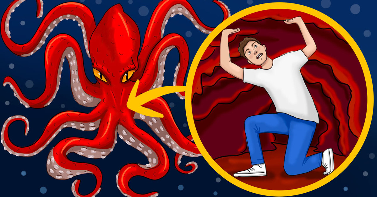 Et Si le Kraken t’avalait Vivant