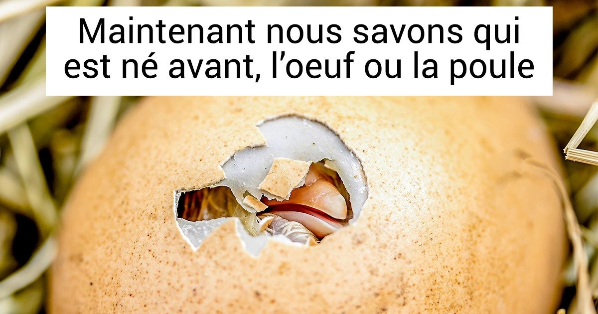 10 Questions éternelles qui nous tourmentent depuis l’enfance, mais auxquelles la science a déjà répondu 10 Questions éternelles qui nous tourmentent depuis l’enfance, mais auxquelles la science a déjà répondu