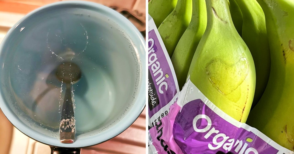 20 Photos qui prouvent que la vie est remplie de coïncidences