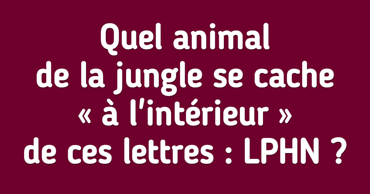15 Casse-têtes amusants pour combattre l’ennui et divertir les plus jeunes
