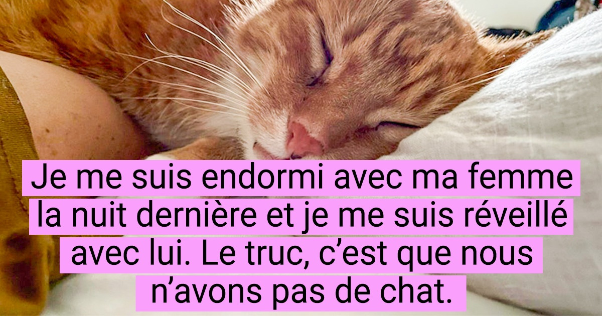 15+ Incidents matinaux qui ont clairement donné le ton de la journée