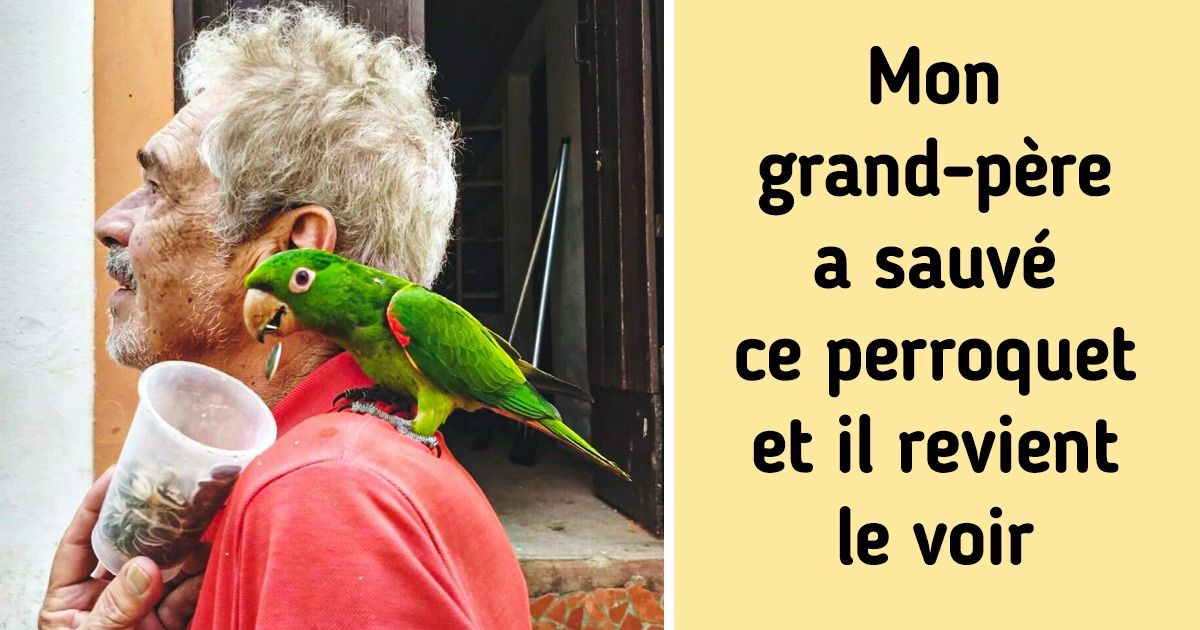 22 Grands-parents qui peuvent très facilement inspirer leurs petits-enfants