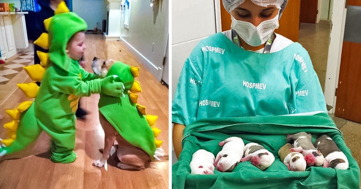 20+ photos qui sont trop bonnes pour ne pas être partagées
