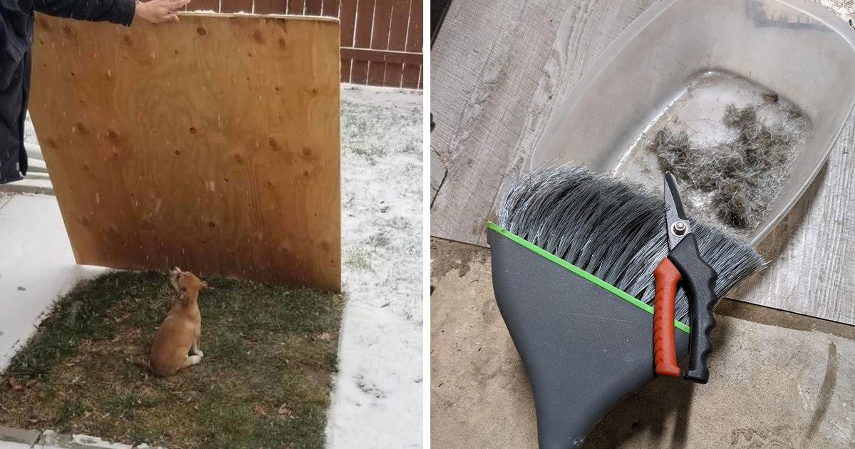 16 Utilisateurs qui ont trouvé des solutions ingénieuses aux problèmes domestiques