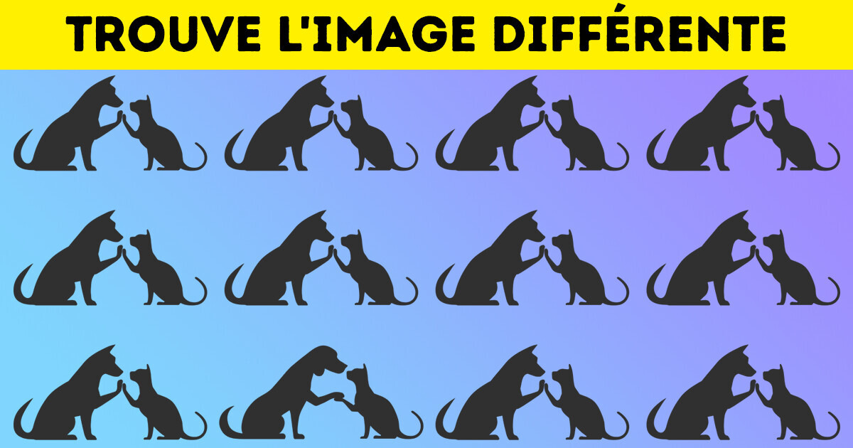 Trouve l’intrus parmi ces 12 images pour faire travailler ton cerveau