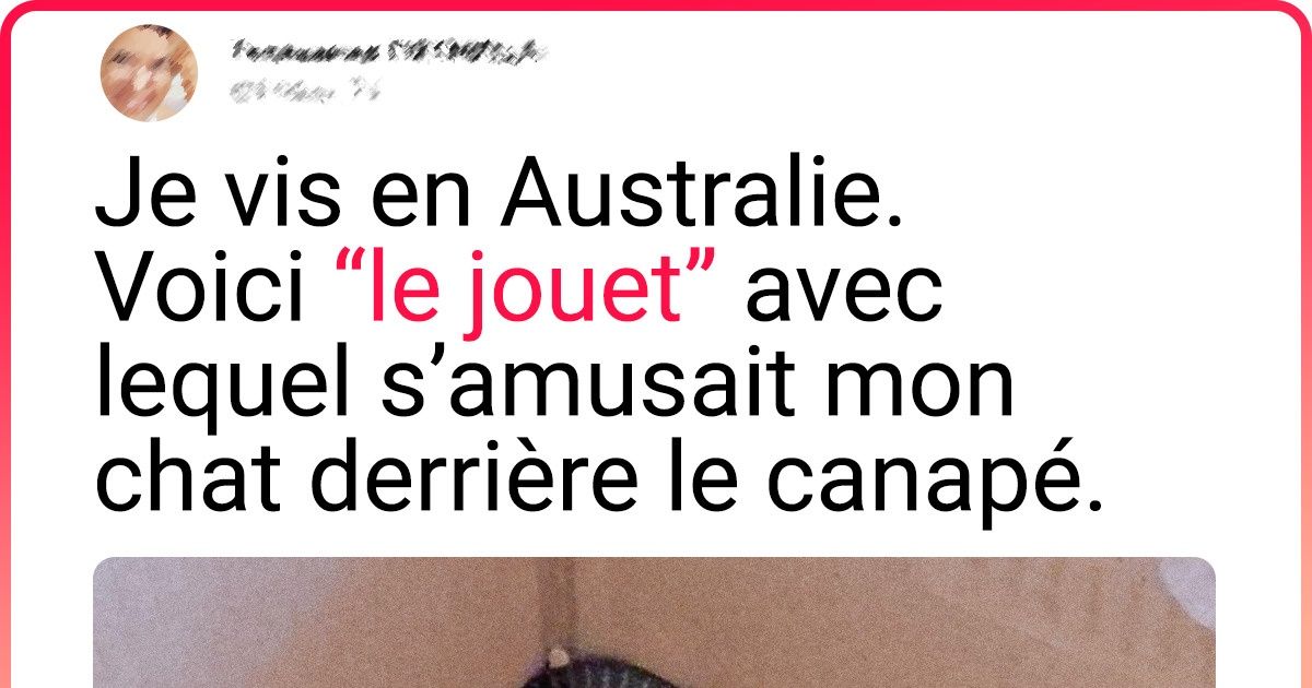 20+ Personnes qui voulaient juste profiter de leur voyage mais tout ne s’est pas passé comme prévu