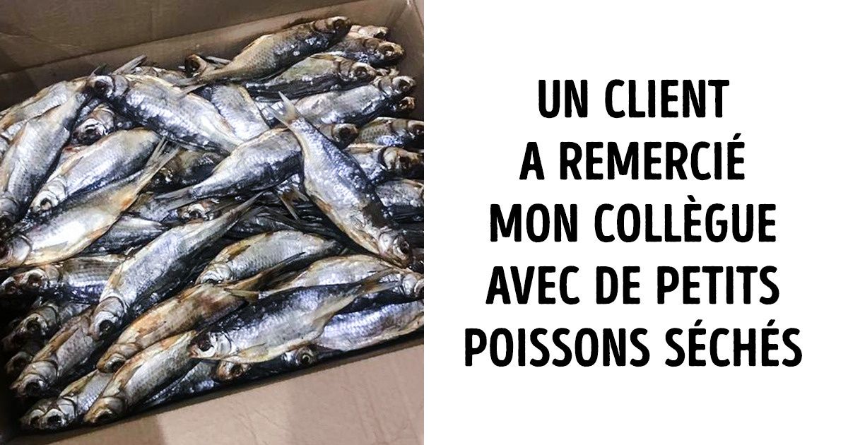20+ Personnes qui ont reçu les cadeaux les plus bizarres de leur vie 20+ Personnes qui ont reçu les cadeaux les plus bizarres de leur vie