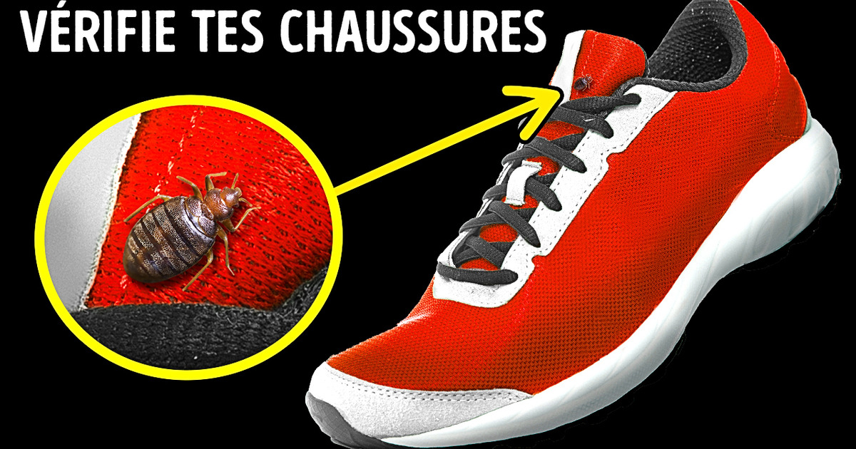Les Punaises De Lit Ont Un Faible Pour Les Chaussures + 13 Faits Sur Les Odeurs / Sympa