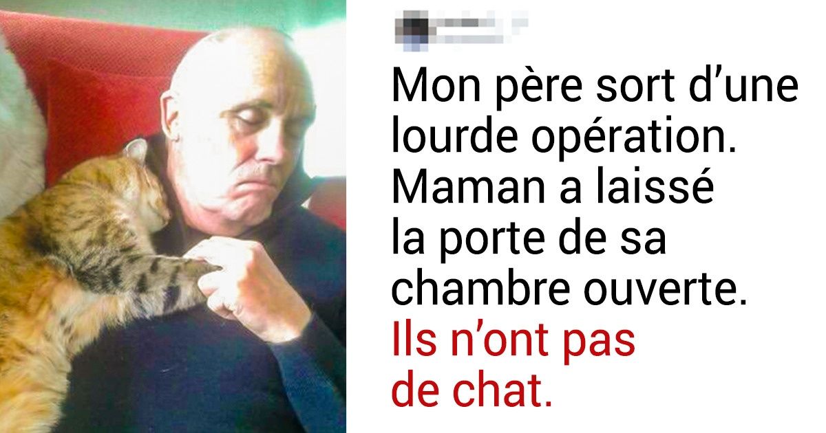 23 Preuves que toute famille a besoin d’un animal domestique 23 Preuves que toute famille a besoin d’un animal domestique