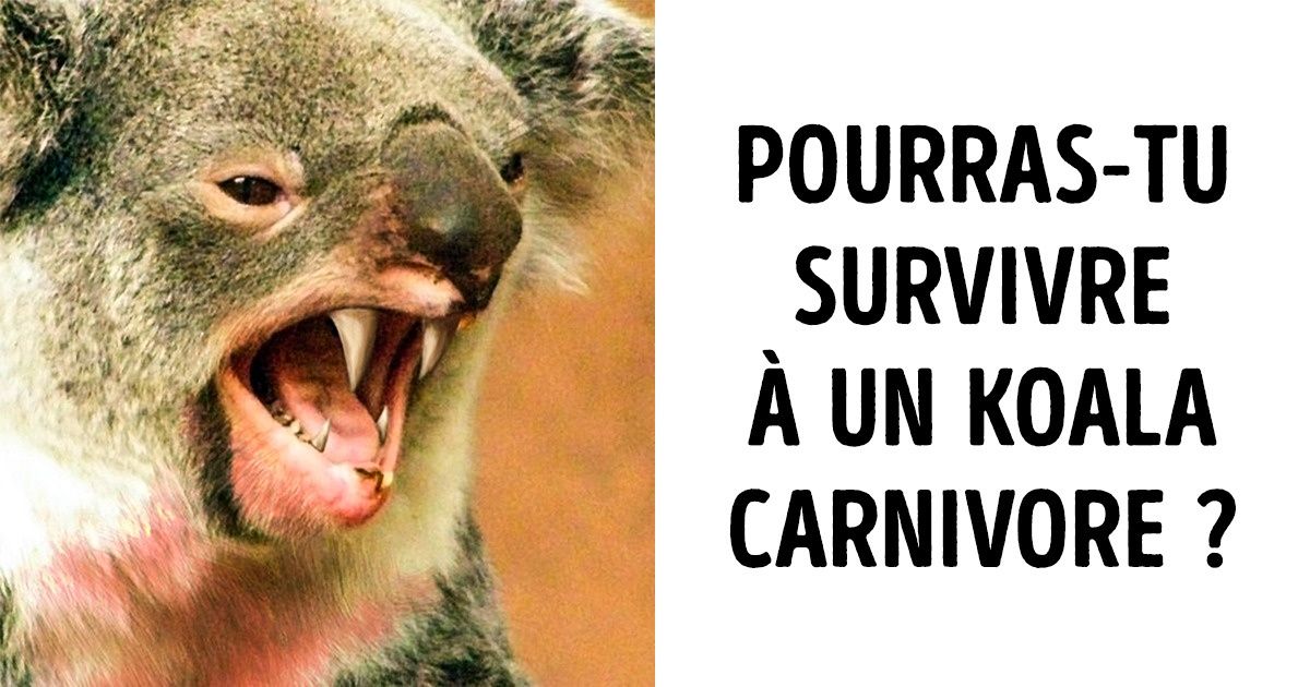 15 faits sur l’Australie qui vont surprendre même ceux qui pensent tout savoir sur ce pays !
