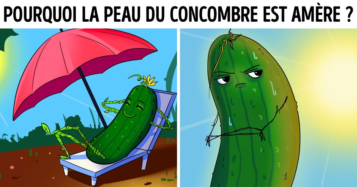 16 Questions d’enfants dont tous les adultes ne connaissent pas la réponse mais nous si