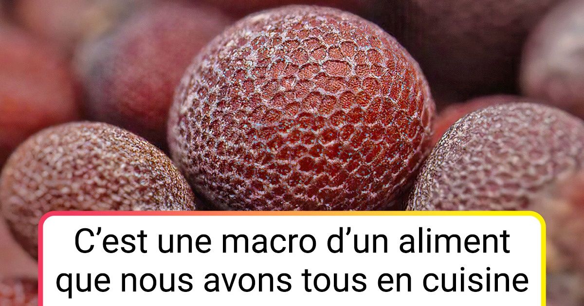 20 Macros qui révèlent les détails invisibles à l’œil nu des objets de notre quotidien