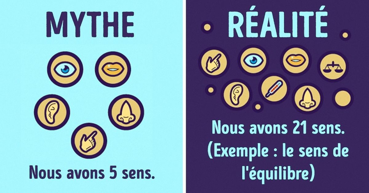 12 Mythes sur le corps humain qu’il faut oublier